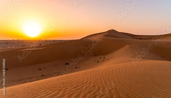 Obraz Golden desert sunset