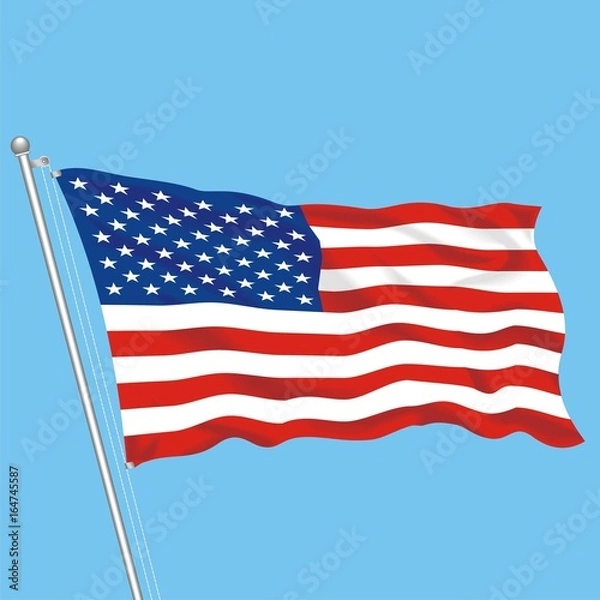 Obraz Flag USA