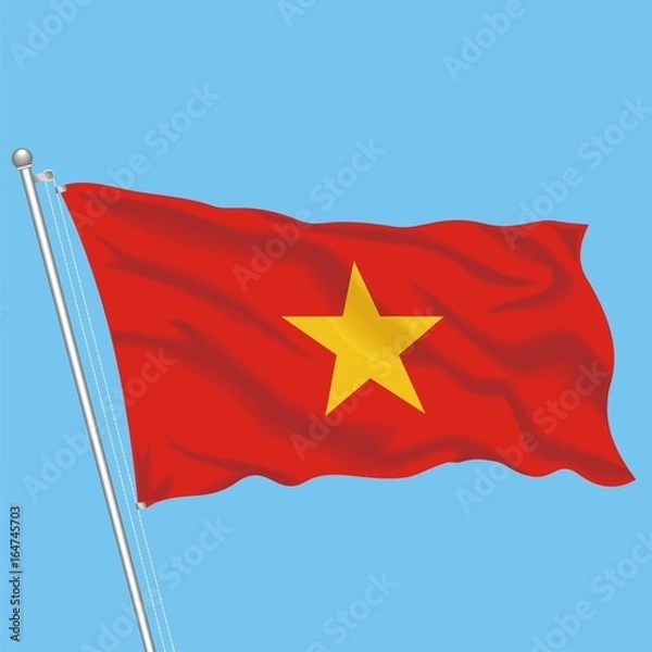Obraz Flag Vietnam