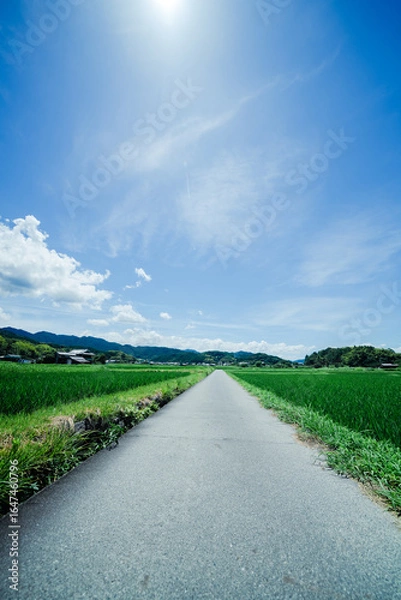 Fototapeta 奈良の飛鳥寺の風景