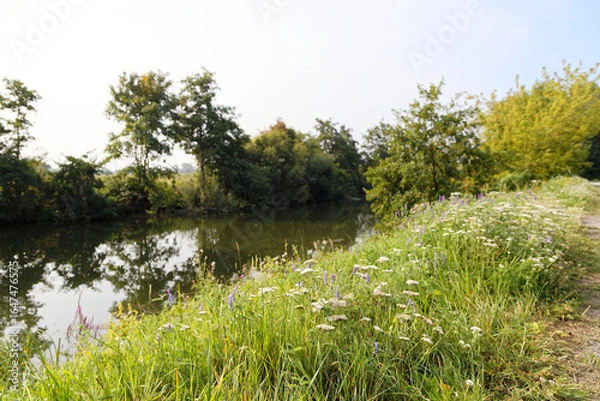 Obraz chemin de la pannerie