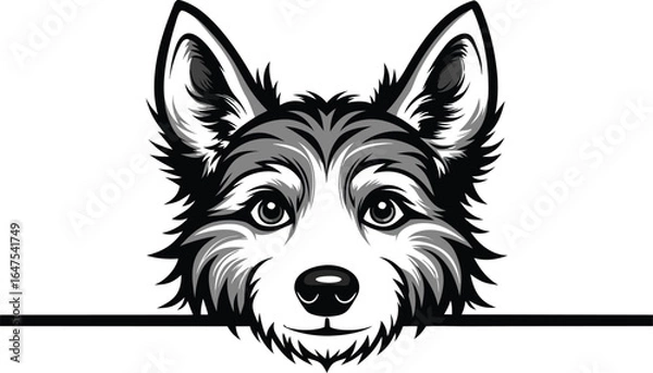 Fototapeta A cheerful black-and-white cartoon dog, border collie style, stands smiling with a wagging tail