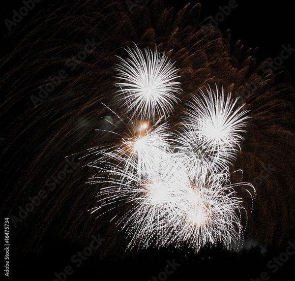Obraz Lichtermeer im Goldregen