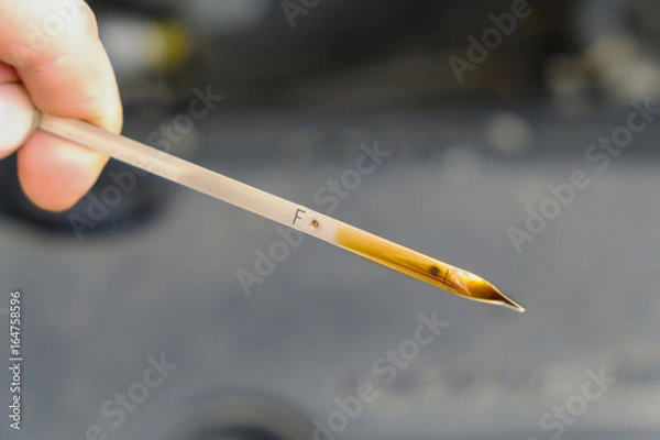 Obraz checking the oil level in a car engine
