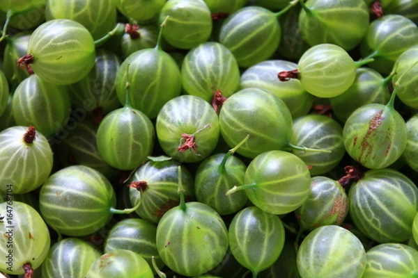 Obraz gooseberry