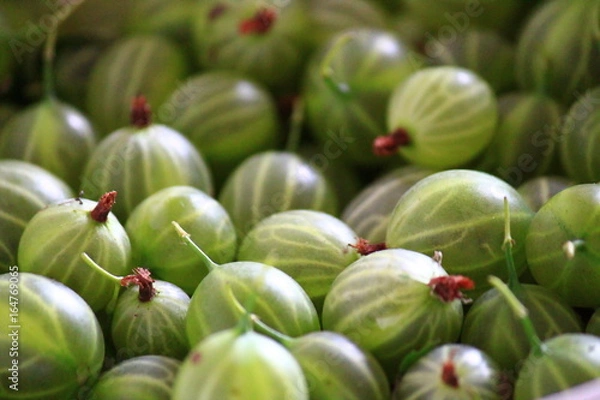 Obraz gooseberry