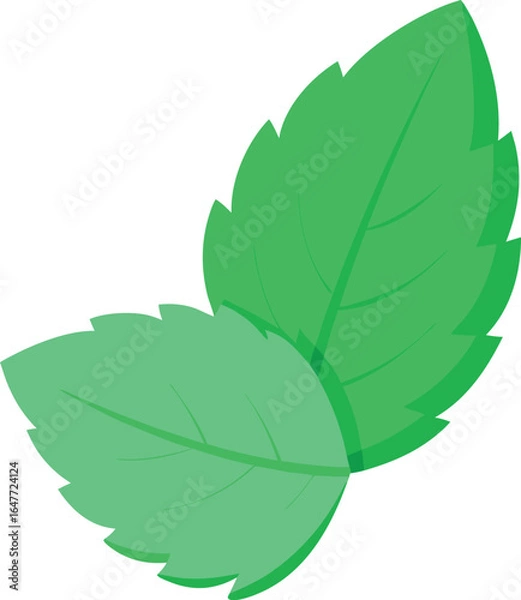 Fototapeta Bright Mint Leaf Vibe