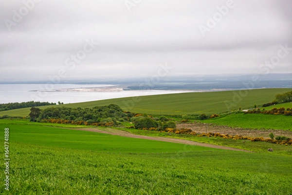 Fototapeta 2023-06-04 VIEW OF GRASSY MEADOWS WITH TREES AND A HARBOR IN THE DISTANCE WITH A CLOUDY SKY NEAR FORTROSE SCOTLAND 