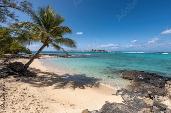 Obraz Tropical beach scene with palm tree
