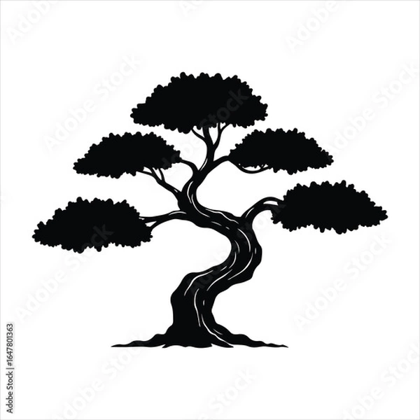 Fototapeta Twisted bonsai tree silhouette with textured bark