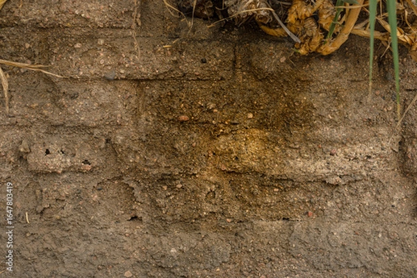 Obraz damage due to moisture problems in walls