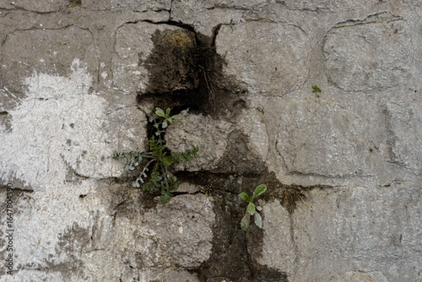 Obraz damage due to moisture problems in walls