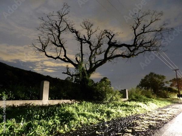 Obraz KODAK Digital Still Camera