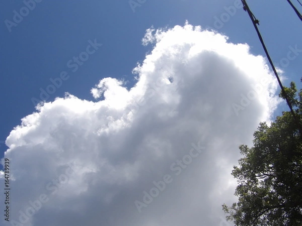 Obraz KODAK Digital Still Camera