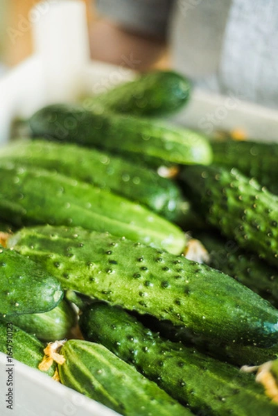 Obraz Healthy vegetable salad with tomatoes, peppers, cucumbers, onion and cheese.