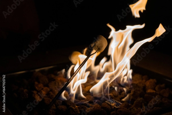 Fototapeta roasting marshmallows on a fire 