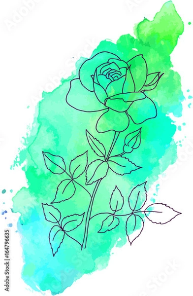 Fototapeta Vector, ink, and watercolor rose flower on teal stain