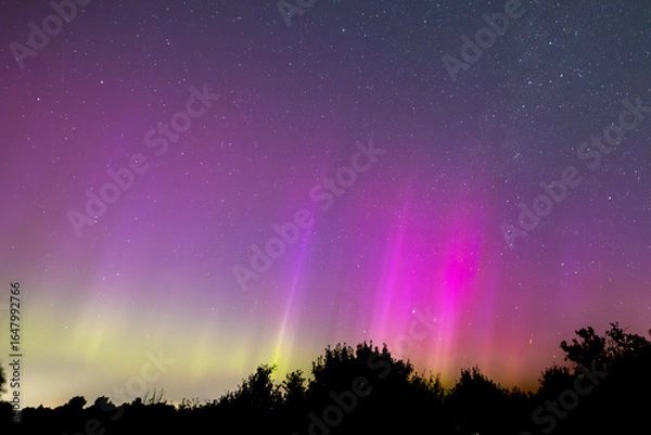 Obraz Polarlichter über Hamburg 2024