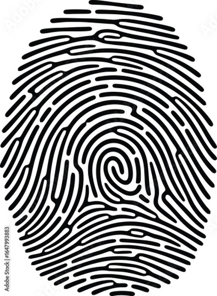 Fototapeta Minimalist monoline icon mega pack featuring 60+ cohesive black outline illustrations across travel, food & drink, sports, nature, music, home, and security. Includes motifs like airplane window, camp