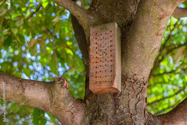Obraz Wooden insect hotel attached to a tree trunk, surrounded by vibrant green leaves, providing a natural habitat for beneficial insects in a school nature master class setting
