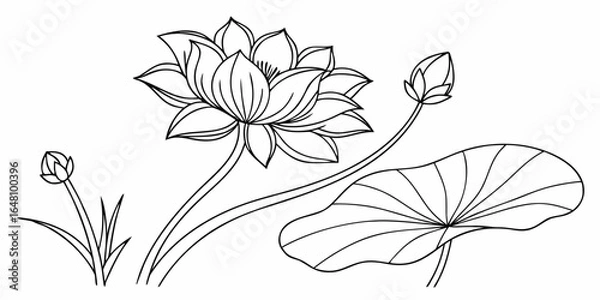 Fototapeta Lotus flower with buds and leaf in outline style, botanical drawing, simple floral illustration art created with generated ai