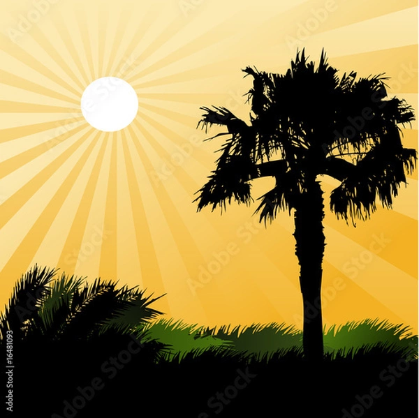 Obraz Sunrise on the beach