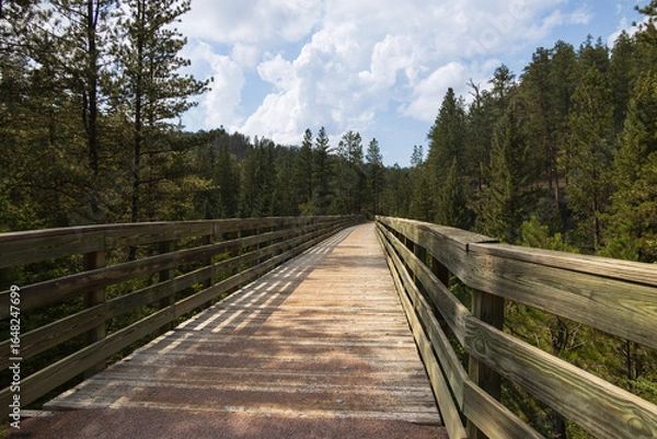Obraz Bridge on the George S. Mickelson trail, South Dakota