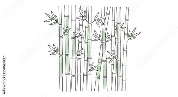 Fototapeta Bamboo grove minimal design, delicate outlines and subtle color washes design