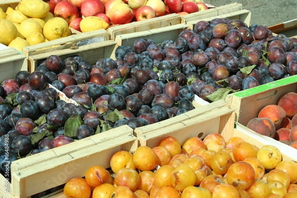Obraz prunes, quetsches, mirabelles
