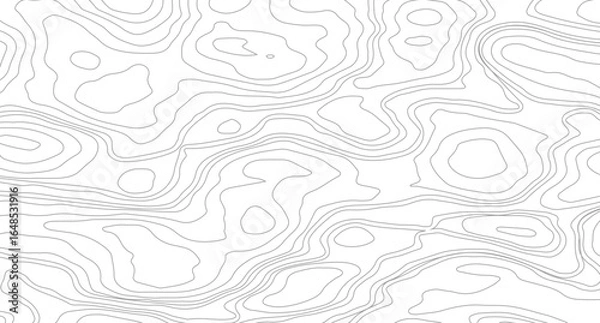 Fototapeta Topography background. Vector banner. Topography background. Abstract topographic contours map background.