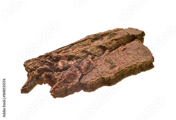 Obraz tree bark isolated on white background
