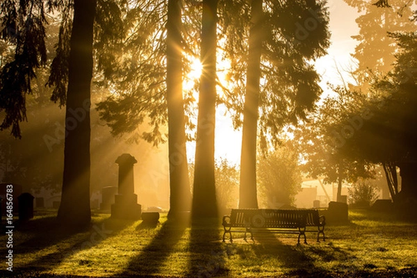 Obraz Cemetery at Sunrise