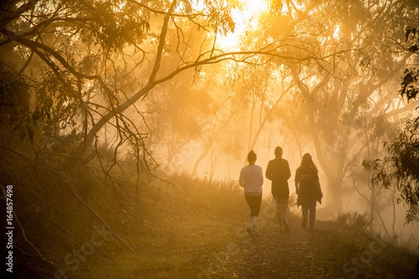 Obraz Friends Hiking