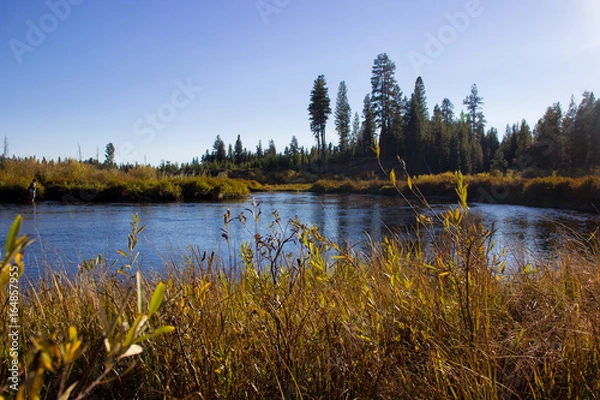 Obraz Oregon Landscape