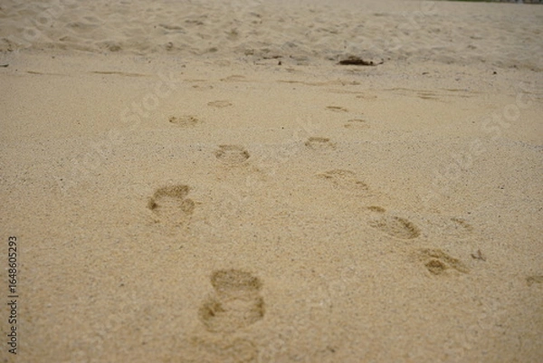 Obraz footprints in sand