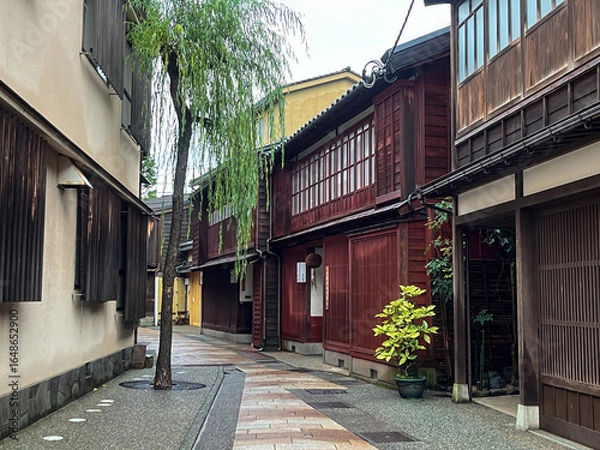 Obraz 柳と町家が並ぶ雨あがりの東茶屋街・和の風情ある路地