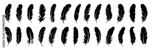 Fototapeta Collection of 24 Unique Black Feather Silhouettes:  Vector Icons for Design