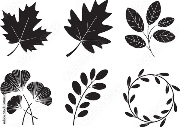 Obraz Elegant black leaf silhouettes for natural design projects