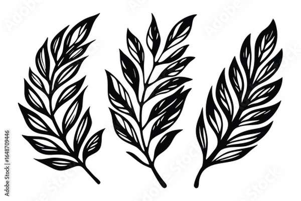 Obraz Three Isolated Black Leaf Branches, Foliage Outline on White Background, Leaflets