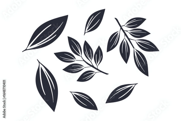 Fototapeta Stylized Leaf Motifs, Black Floral Elements on White Background, Elegant Design