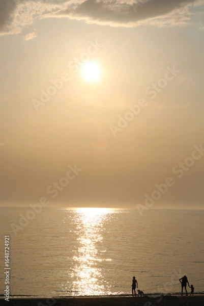 Obraz sunset at the beach