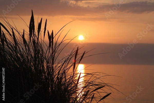 Obraz sunset over the sea