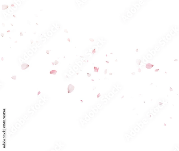 Obraz Pink Cherry Blossom Petals On Transparent Background Vector