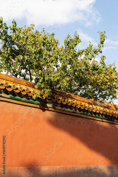 Obraz trees and red wall of Forbidden City