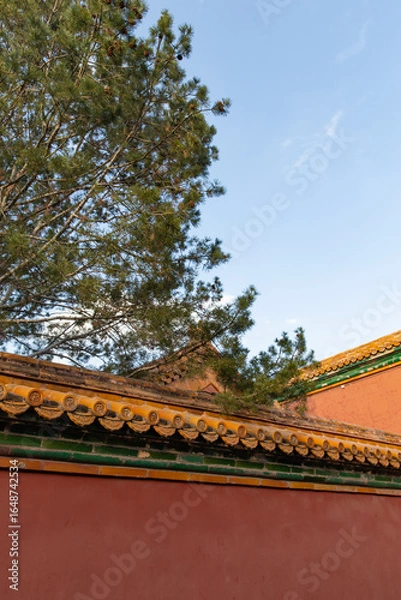 Obraz trees and red wall of Forbidden City