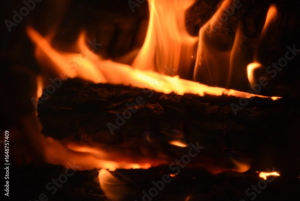 Obraz fire in the fireplace