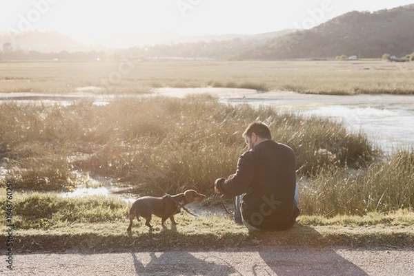 Fototapeta Man in black long sleeved shirt and blue jeans sitting out in nature next to a lake with a brown dachshund in a harness and on leash engaging with his pet dog. Sun flare. Lake and grass
