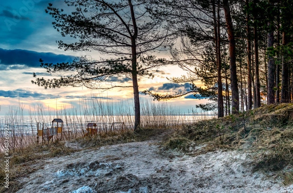 Obraz Sunset above Baltic Sea. Winter coastal landscape with pine forest and sand dunes in Jurmala tourist resort, Latvia