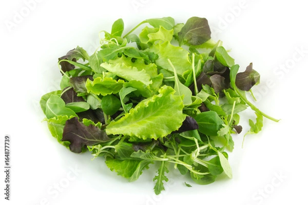 Obraz Insalata mista