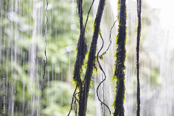 Fototapeta waterfall